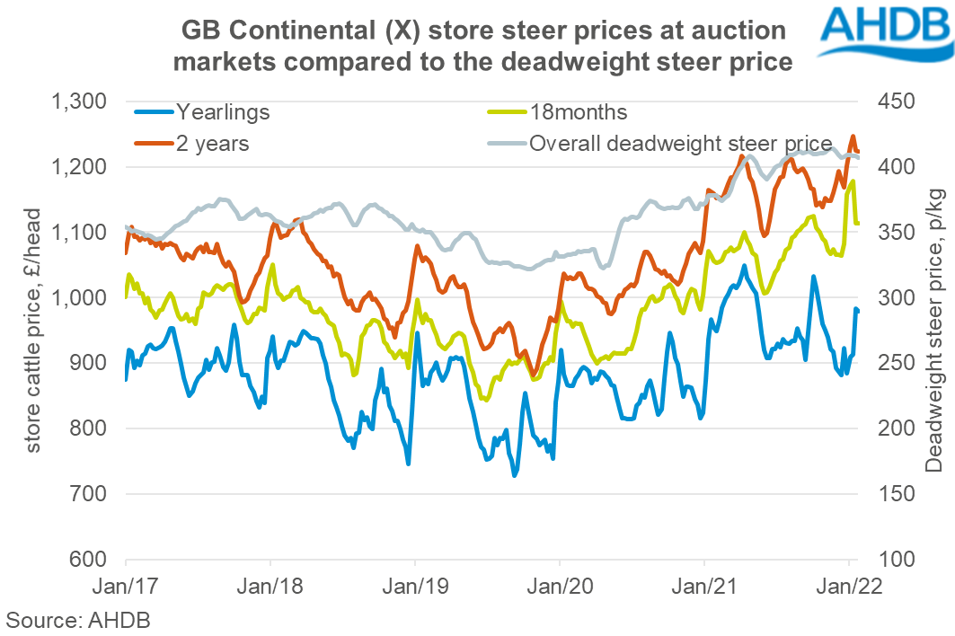 Chart showing growth of store cattle prices and finished cattle prices